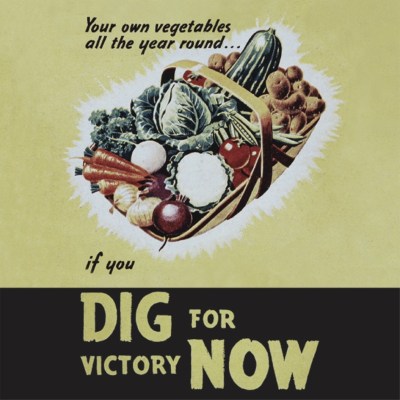Dig for Victory image