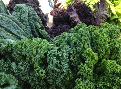 Kale and cavolo nero, 2013