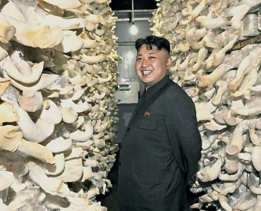 Kim Jong-un gets up close with mushrooms