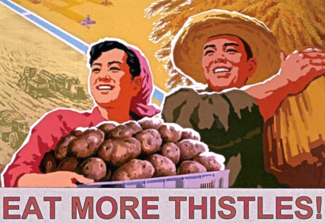 Eat More Thistles image copy